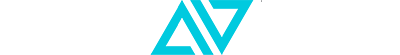 MetaVRse Logo